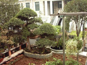 建筑勞務分包 發展脈絡、風險洞察與治理路徑